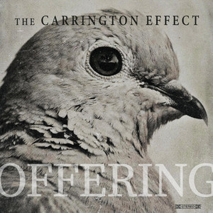 Offering by The Carrington Effect