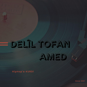 Amed