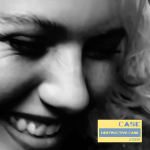 Destructive Case (Radio Edit) by CASE