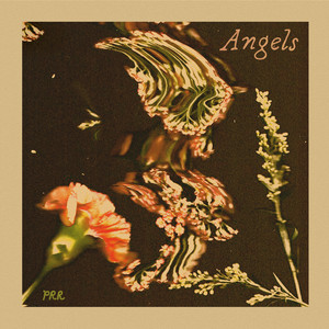 Angels by Prairie Rose Revival
