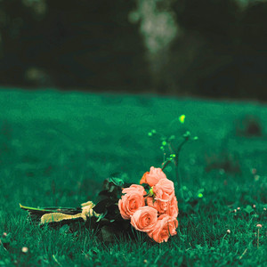 The Life of a Showgirl - Piano Version