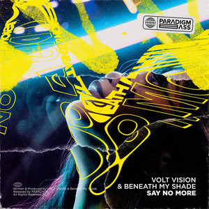 Say No More by VOLT VISION, Beneath My Shade
