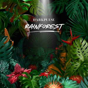 Rainforest by DarkPulse
