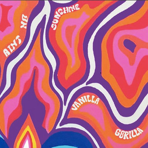 Ain't no Sunshine by Vanilla Gorilla