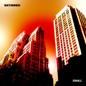 Never Coming Down by Skybred