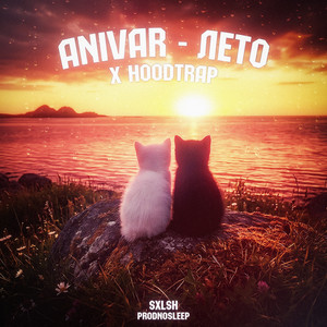 ANIVAR - Лето (SXLSH & prodnosleep Hoodtrap Remix)