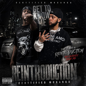 Reintroduction Remix by Certtified, MoBanga