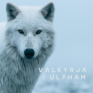 Valkyrja í Úlfham (Valkyrie in Wolf Shape) by Kveldor