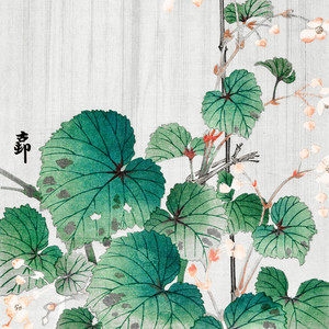 Lotus El - Pluie