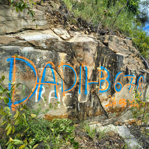 DADII-B - Holem Heart