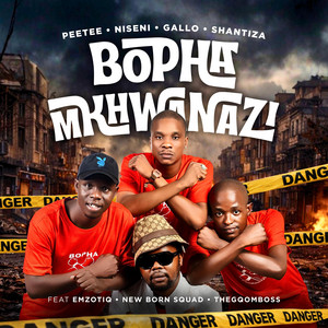 Pee Tee - Bopha Mkhwanazi (feat. Niseni, Gallo, Shantiza, Emzotiq, New Born Squad & TheGqomBoss) [Radio Edit]