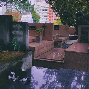 My Life Has No Meaning by Kitokk