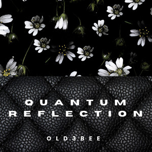 Quantum Reflection by Old3bee