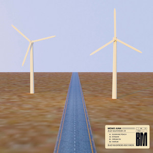 Warum by Mono Junk