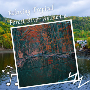 Relaxing Tropical Forest River Ambience album