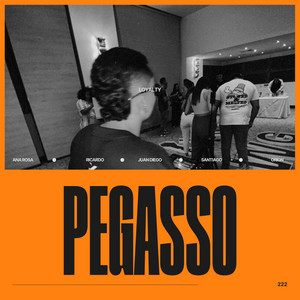 VELANDJ - PEGASSO