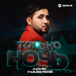 Только ночь