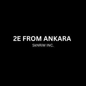 2E FROM ANKARA by SkNRiW INC.