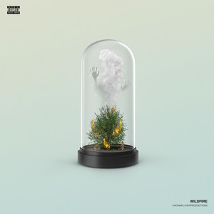 Portada de wildfire