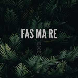 FAS MA RE by Ece ızbudak, TeslaCoilLab