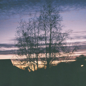 Sleepless Summers by Dara