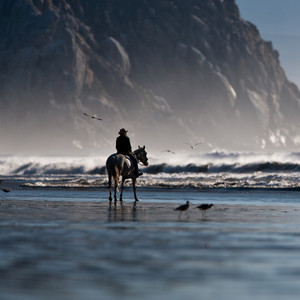 Supriadi - แตงงานกนเถอะ