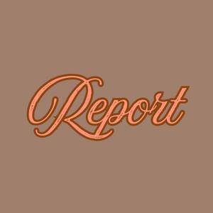 Report by Omeletpaul