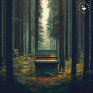 Concerto in D Minor, BWV 974: II. Adagio