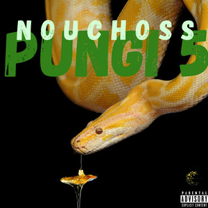 Pungi 5