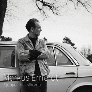 Det är mörkt nu by Markus Ernerot