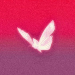 Portada de Teeth