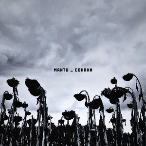 Соняхи by Mantu