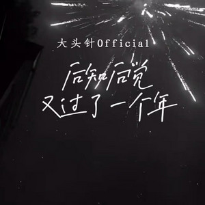 后知后觉又过了一个年 by 大头针official