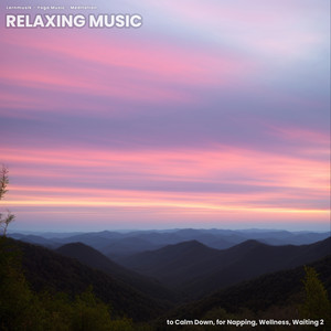 Relaxing Music to Calm Down, for Napping, Wellness, Waiting 2