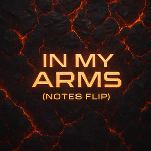 In My Arms (NOTES Flip)