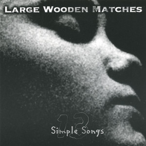 Large Wooden Matches artist photo