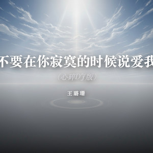 不要在你寂寞的时候说爱我（心碎DJ版） by 王璐珊