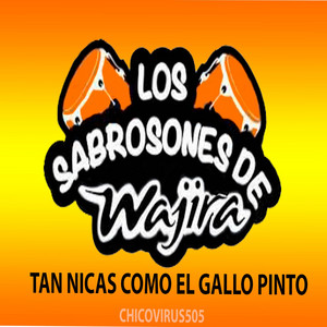 Los sabrosones de wajira - Cumbias Sabrosonas de wajira