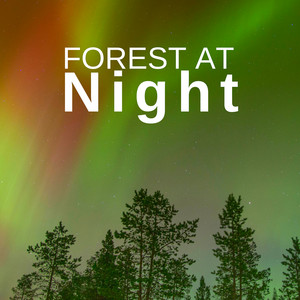 Forest at Night: Relaxing Nature Night Sounds cover