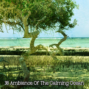 ! ! ! ! 38 Ambience Of The Calming Ocean ! ! ! ! album