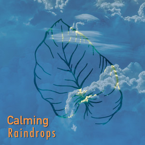 # 1 Album: Calming Raindrops album