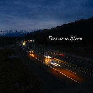 A3F - Where Whispers Turn to Forever