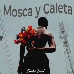 Mosca y Caleta by Snake Dark