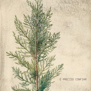 É Preciso Confiar — cover art by Alan Burns