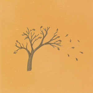 Drifting Leaves by Andrew Gialanella Album Cover