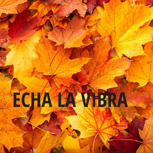 Echa la vibra by samuel alexandrer