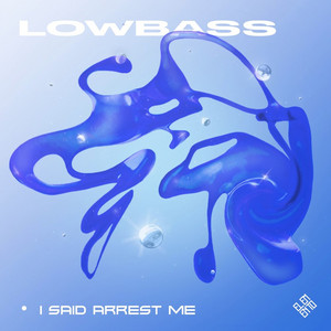 I Said Arrest Me by LOWBASS