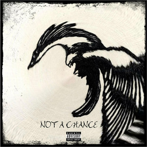Marsh Dhaliwal - Not a Chance