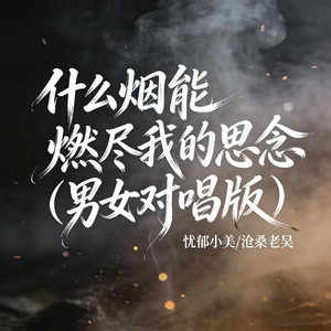 什么烟能燃尽我的思念 - 男女对唱版 by 忧郁小美, 沧桑老吴
