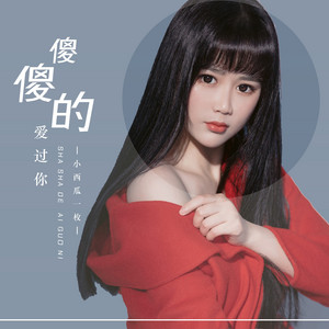 小西瓜一枚 - 傻傻的爱过你 (DJ默涵版)